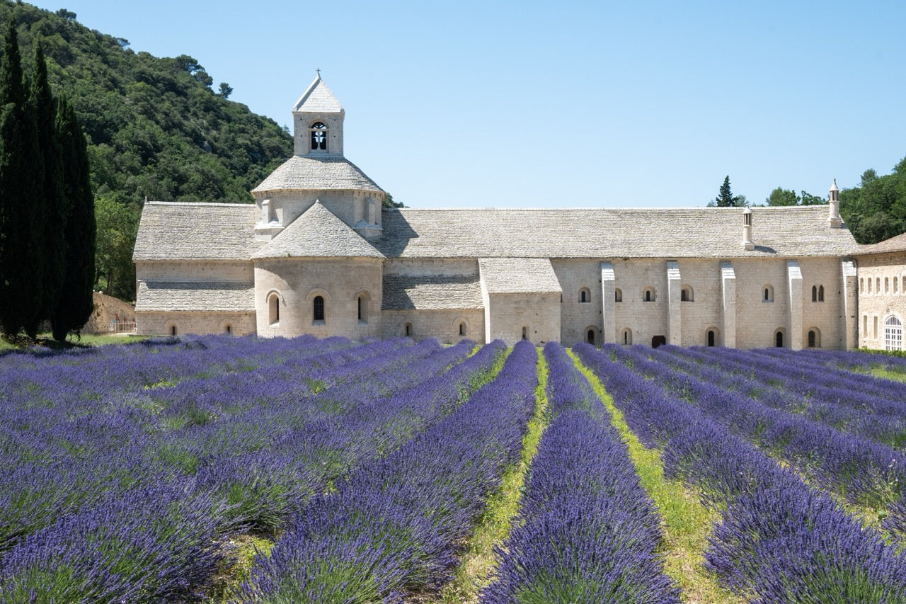 Les senteurs emblématiques de la Provence : un voyage olfactif